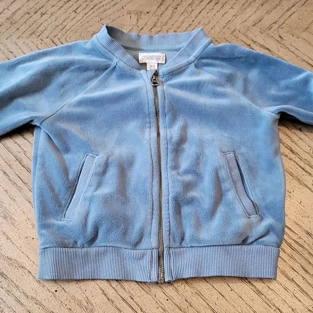 Gymboree 12-18 month blue suede zipup jacket
